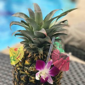 Meet your Posher, Mika